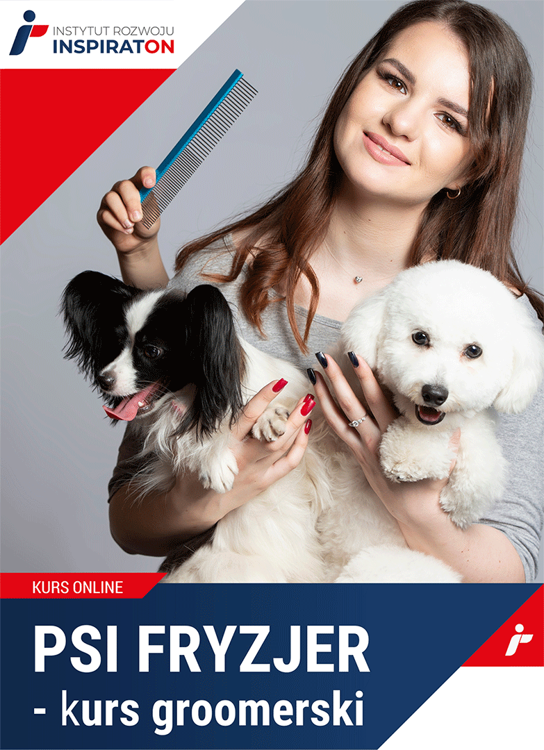 Psi fryzjer - kurs groomerski