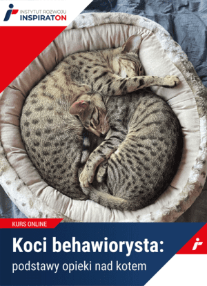 Koci behawiorysta: podstawy opieki nad kotem